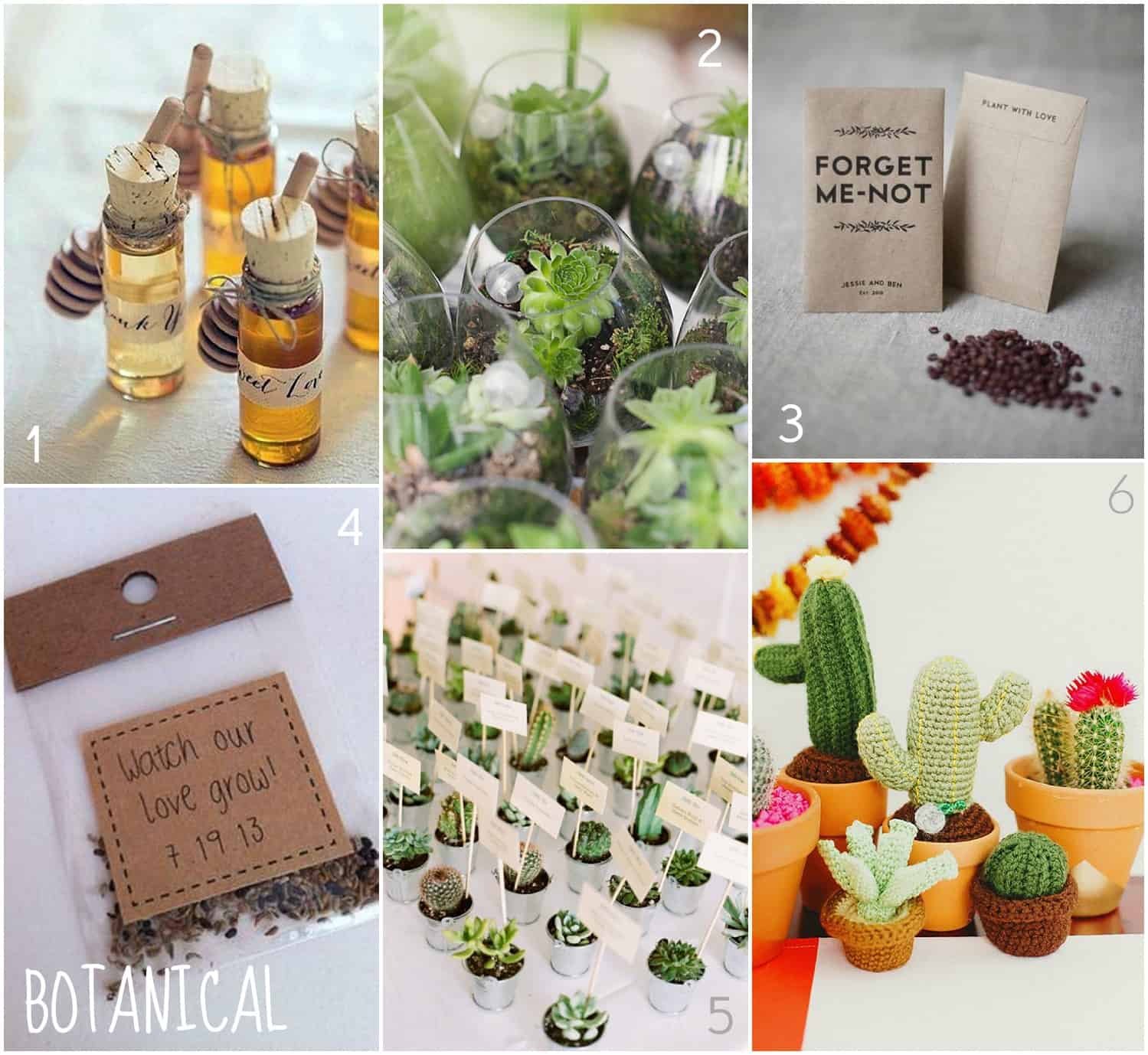 Wedding favours, botanical favours, seeds, plants, floral wedding favours